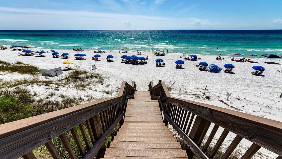 Palms C7 House in South Walton County