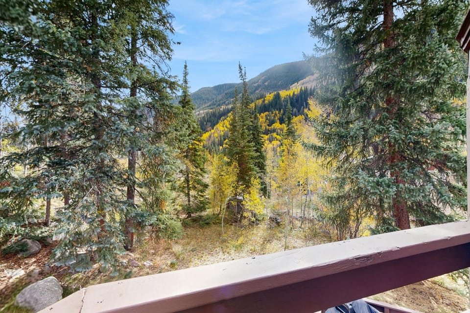 Spruce Way 4 Vail Colorado House in Vail
