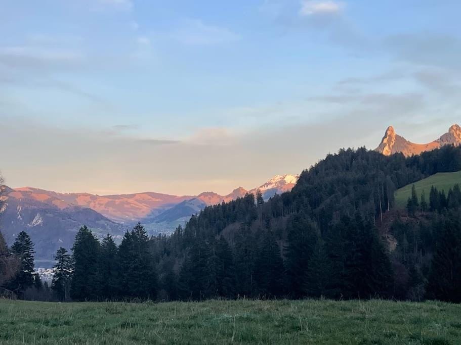 Joli studio au pied du Moleson Apartment in Fribourg, Switzerland