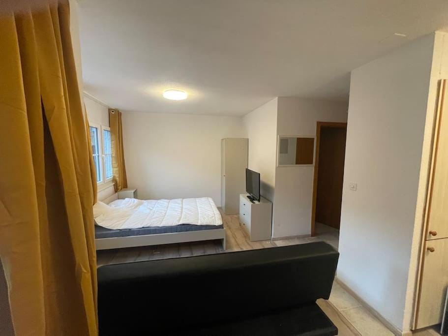 Joli studio au pied du Moleson Apartment in Fribourg, Switzerland
