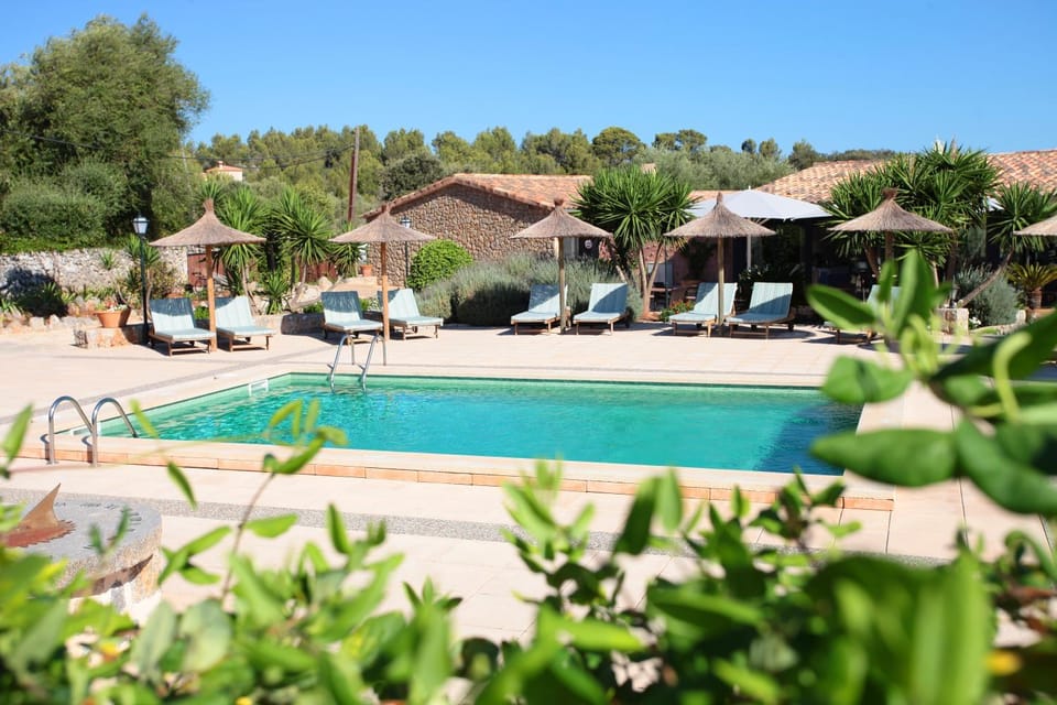 Swimming pool, Swimming pool