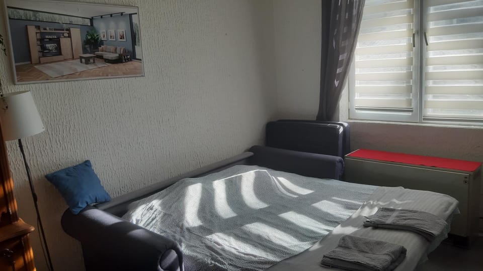 Bed, Living room, Photo of the whole room, Seating area
