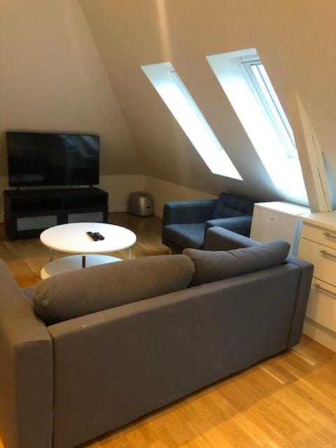Fløyen Apartment Apartment in Bergen
