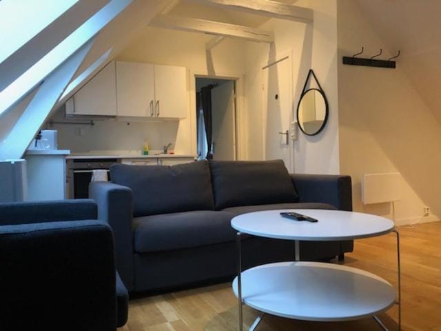 Fløyen Apartment Apartment in Bergen