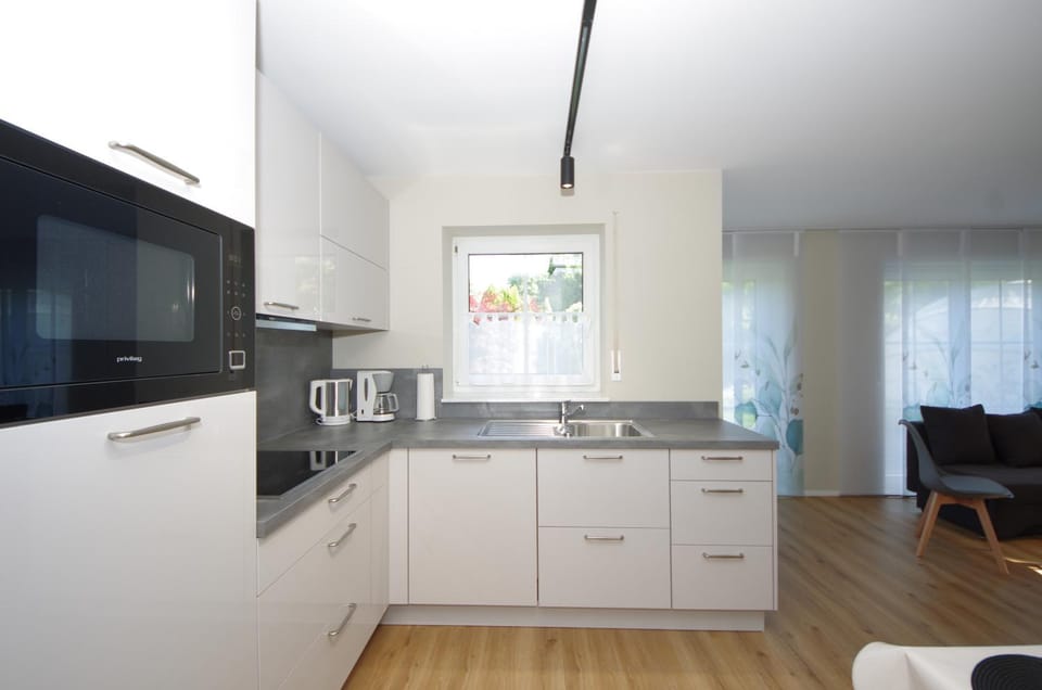 Kitchen or kitchenette, dishwasher, stove