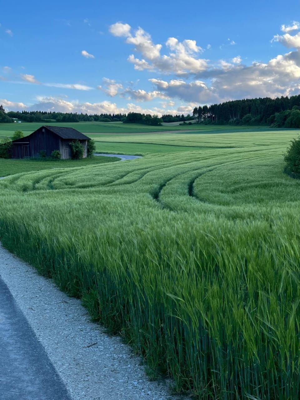 Natural landscape