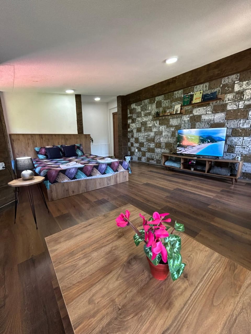 Villa ANA-Mavrovo Apartment in North Macedonia