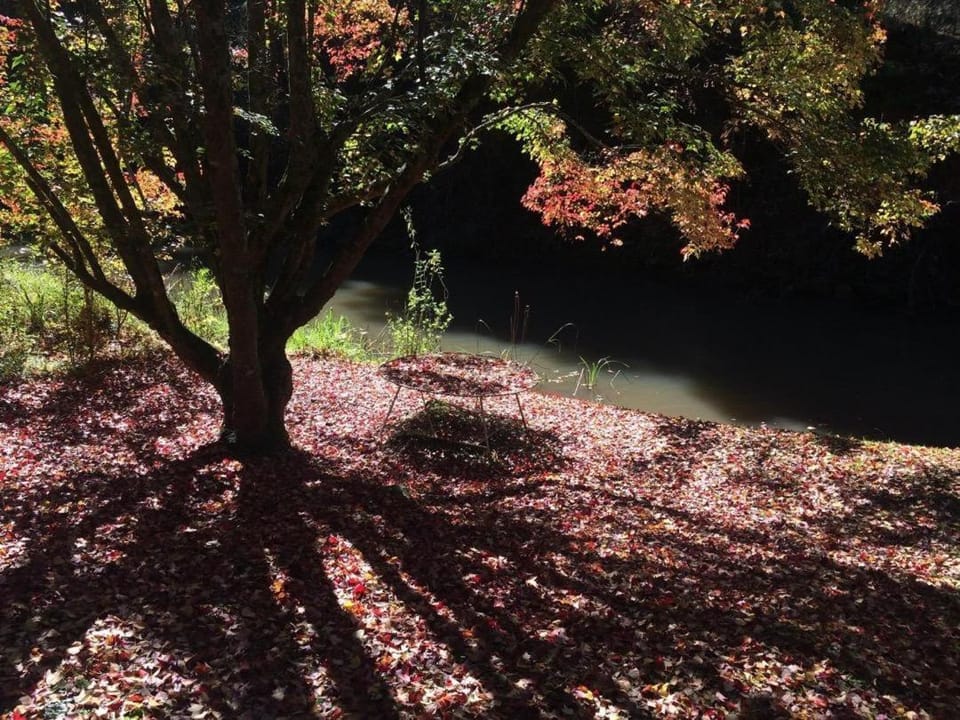 River view