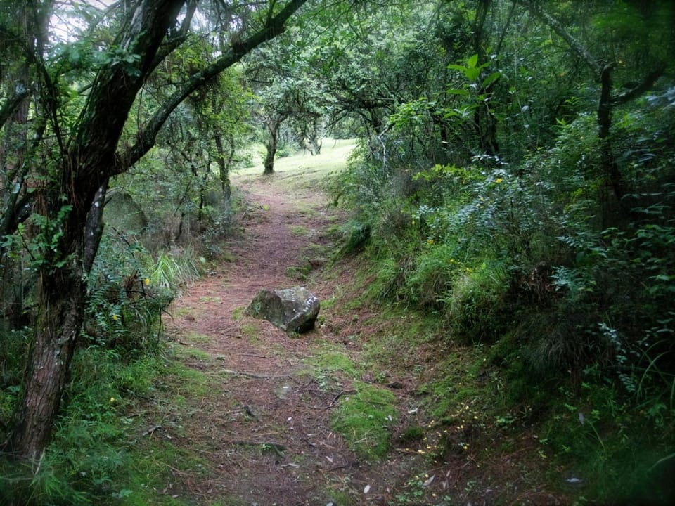 Natural landscape