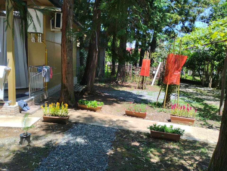 Property building, Day, Garden, Garden view