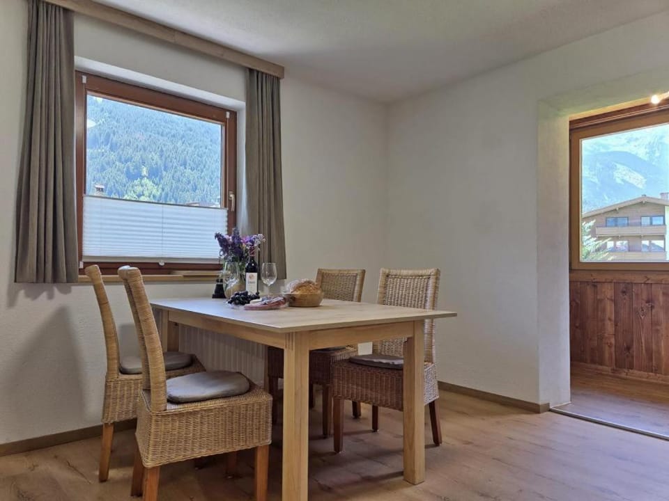 Haus Viktoria Apartment in Mayrhofen