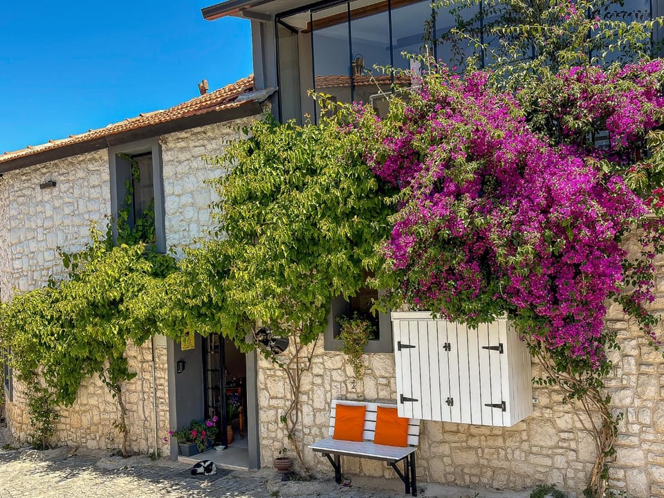 Property building, Spring, Day