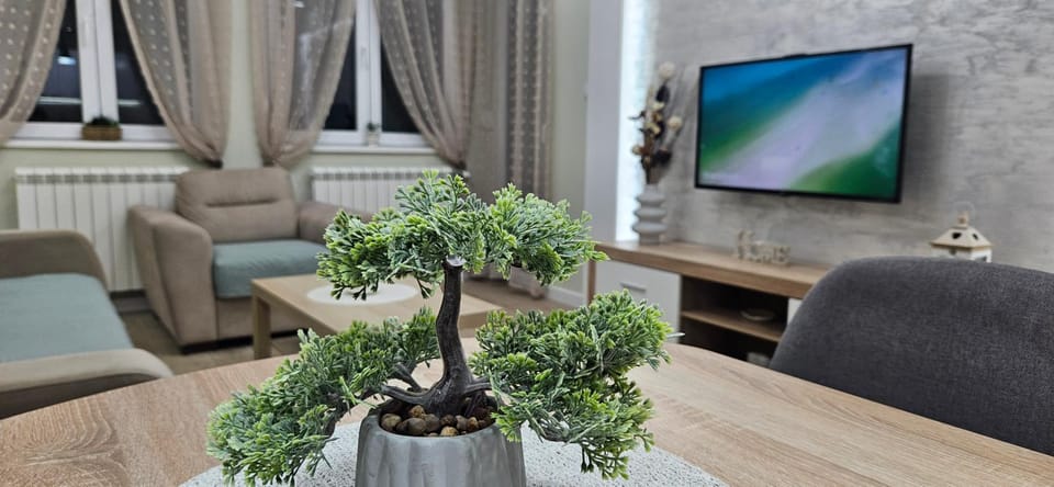 Apartman Vukota 2 Pirot Apartment in Serbia