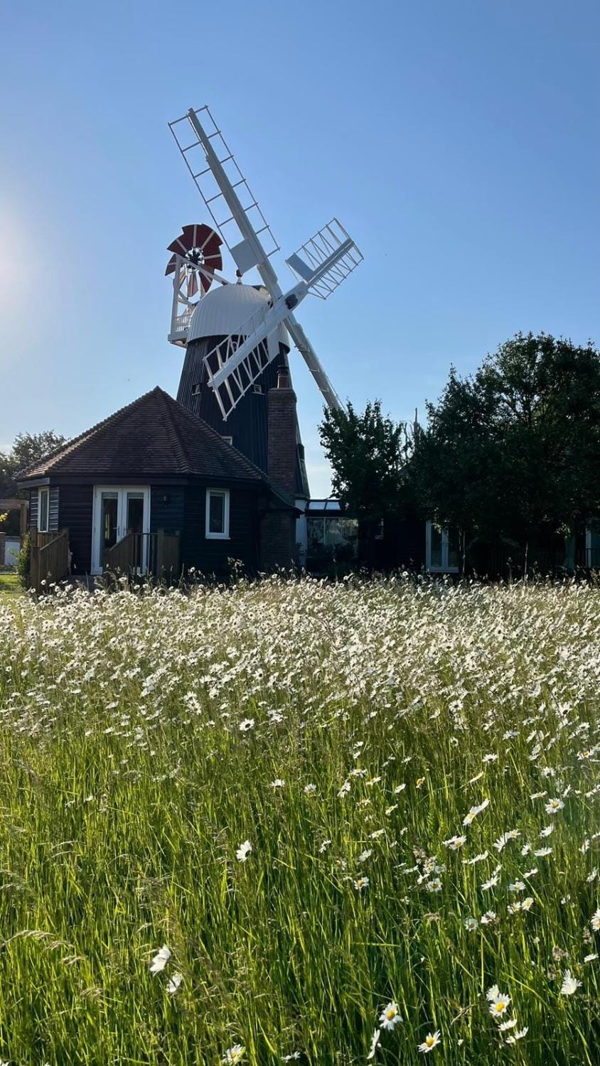The Millers Cottage House in South Cambridgeshire District