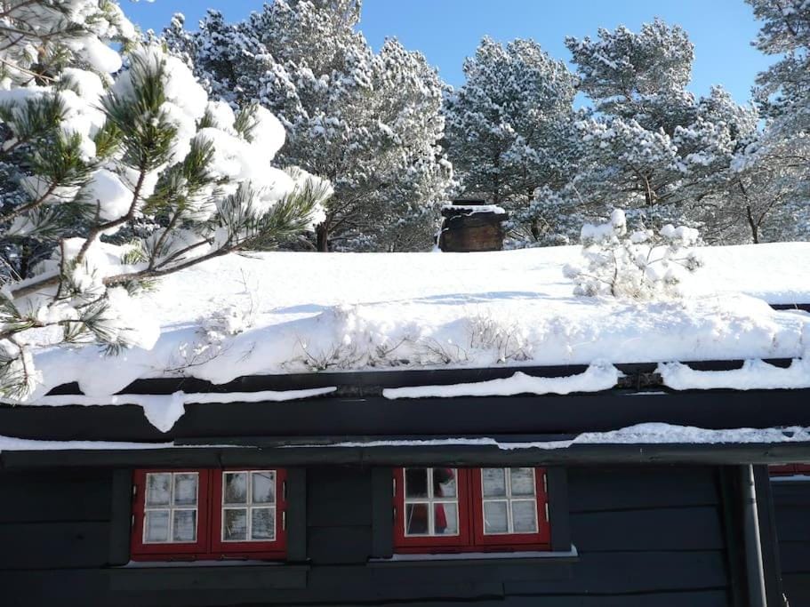 Property building, Winter