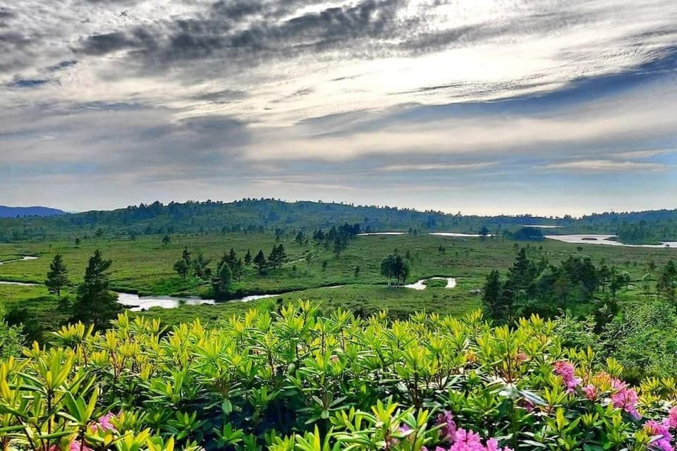 Natural landscape, Balcony/Terrace, Mountain view, River view