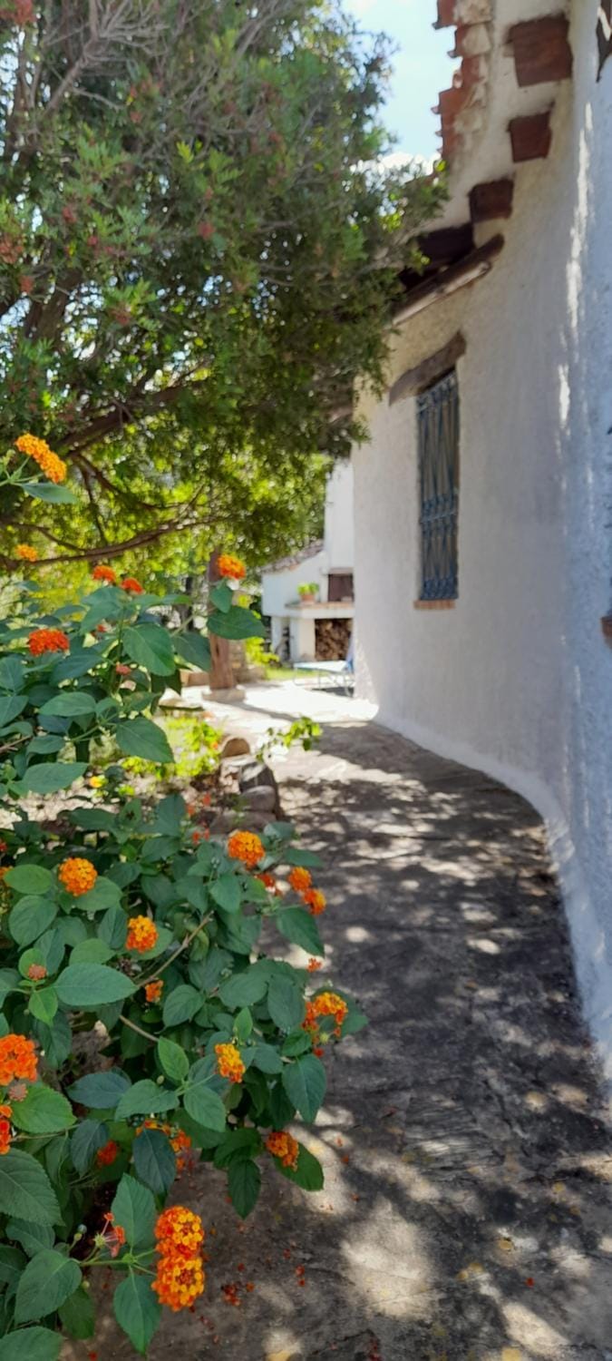 Property building, Garden view