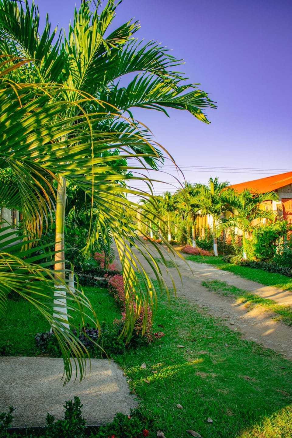 Natural landscape, Garden, Garden, Garden view