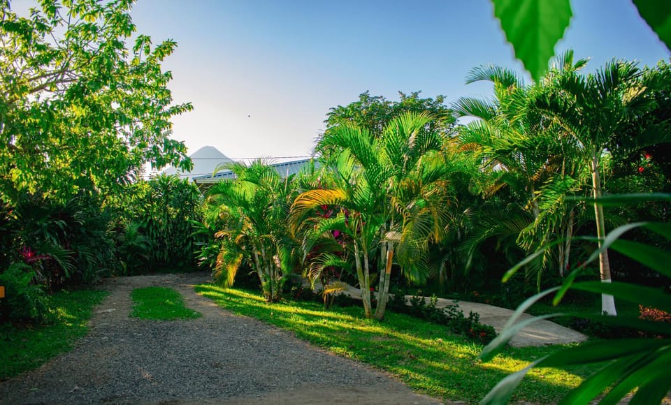 Day, Natural landscape, Garden view