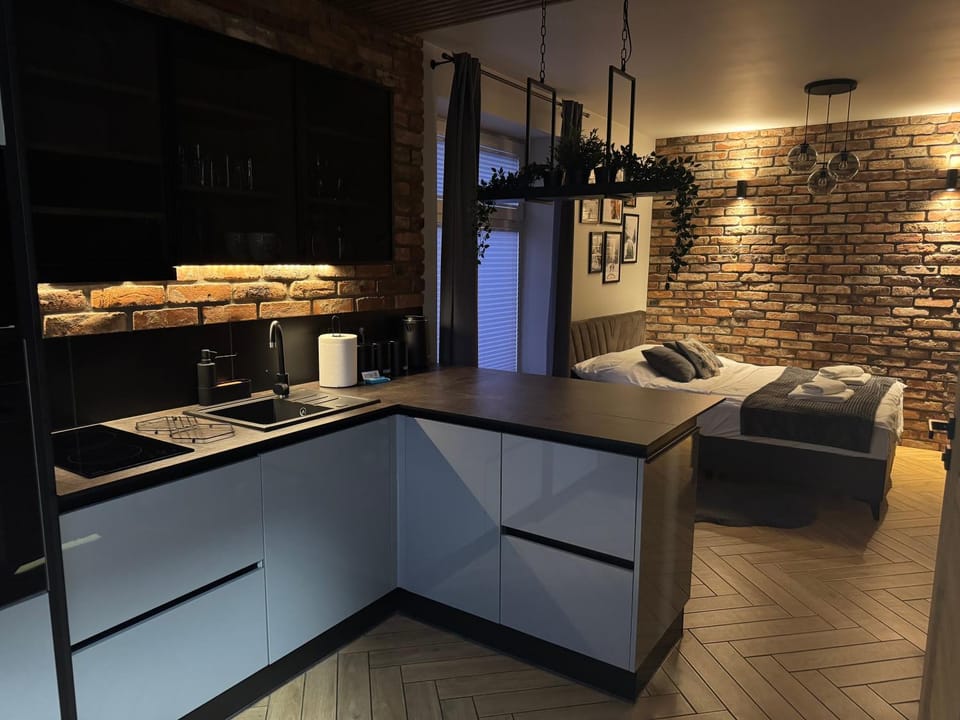 Kitchen or kitchenette, Photo of the whole room