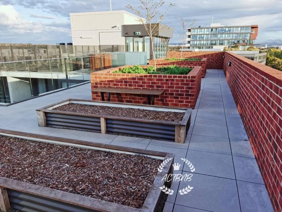CBD High level City View 1BR Apt Free parking Apartment in Canberra