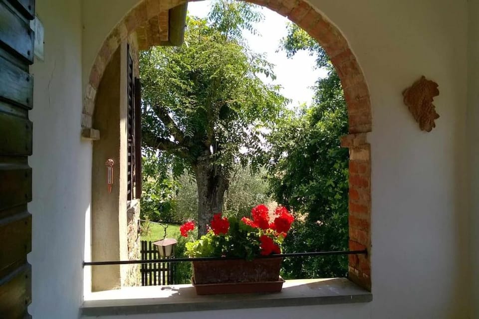 Appartamento in Agriturismo & Piscina panoramica Apartment in Tuscany