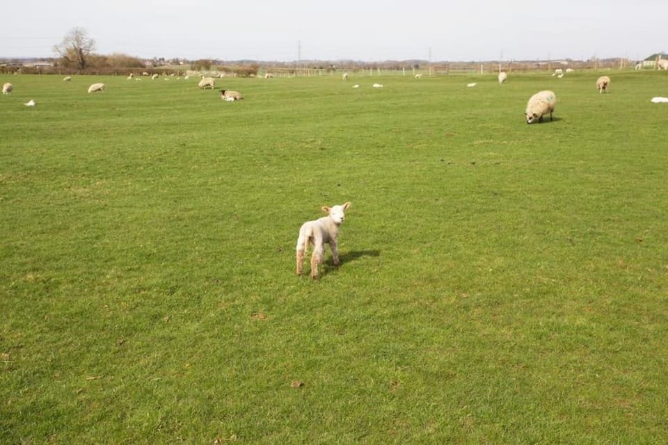 Dunnimere Farm stay with Hot Tub - up to 20 House in North Warwickshire District