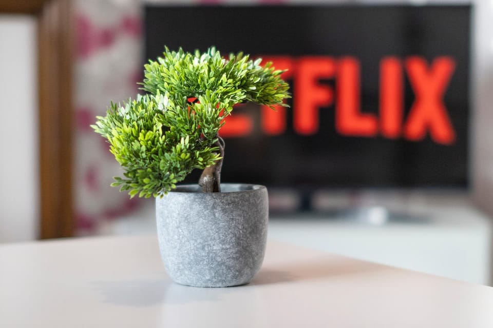 Constancevilla B9 - Grampian Lettings Ltd House in Aberdeen