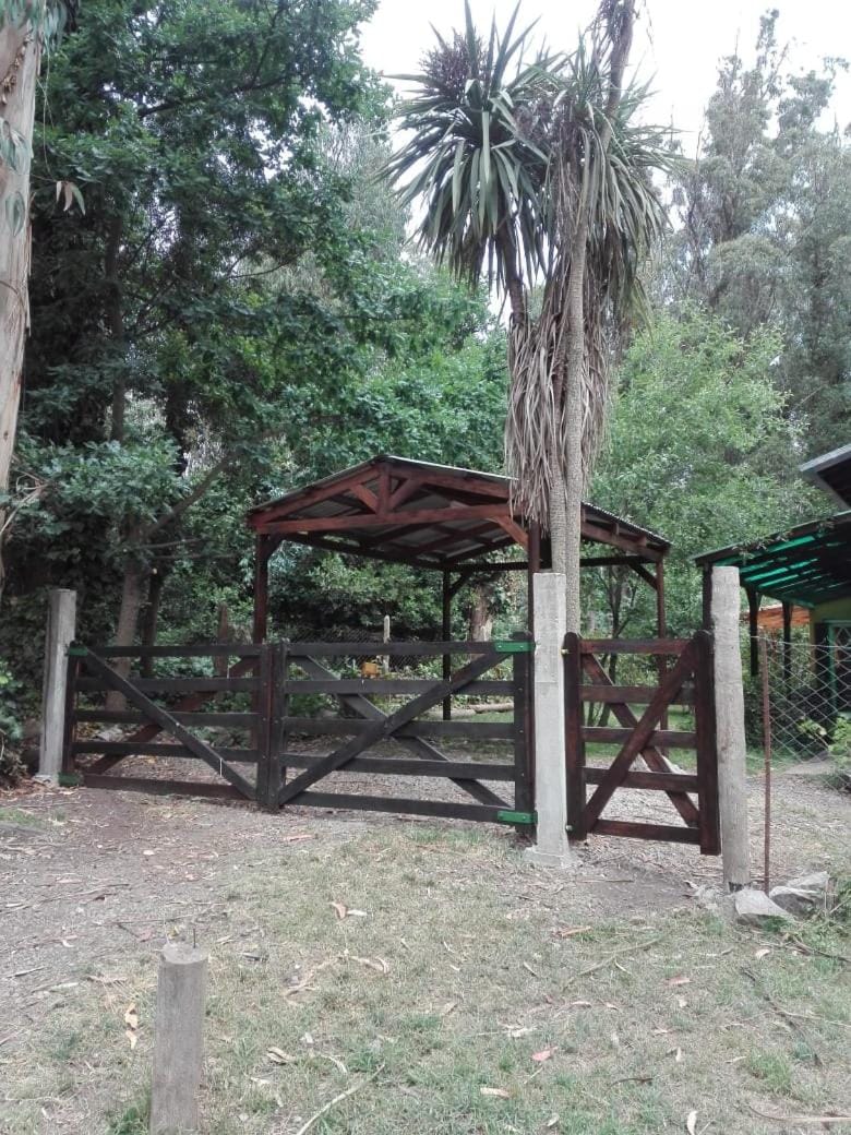 Casa del Bosque House in Mar del Plata