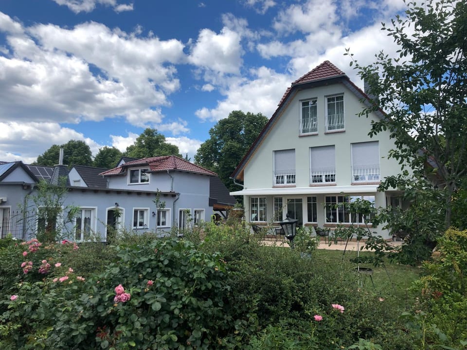 Property building, Garden, Garden view