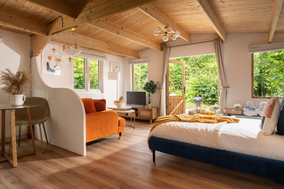 Bed, TV and multimedia, Living room, Seating area, Bedroom