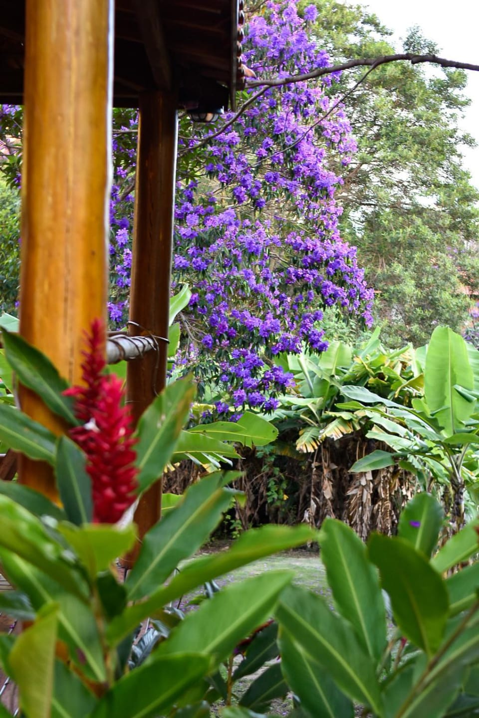 Chalés Vila Do Vale Nature lodge in State of Bahia