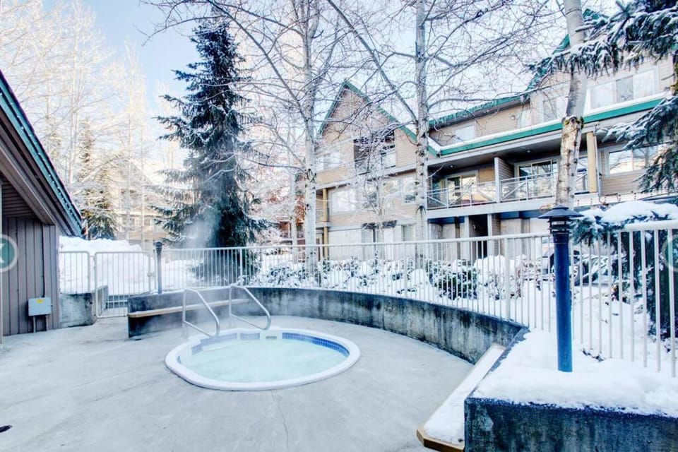 Whistler Steps to Village Sleeps 8 + Jacuz + Park Apartment in Whistler