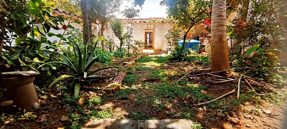 Natural landscape, Garden view