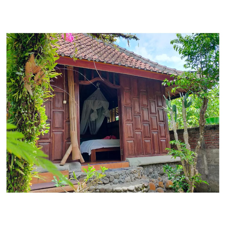 Property building, Day, Garden, Garden view