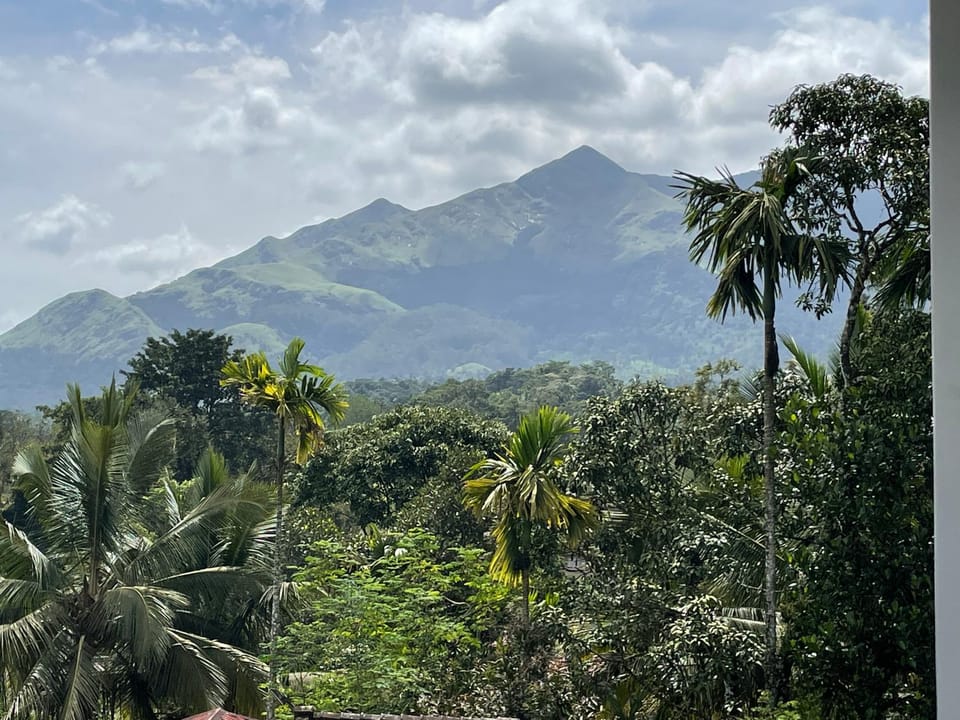 Mountain view