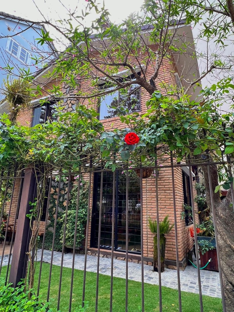 Property building, Day, Garden, Garden view