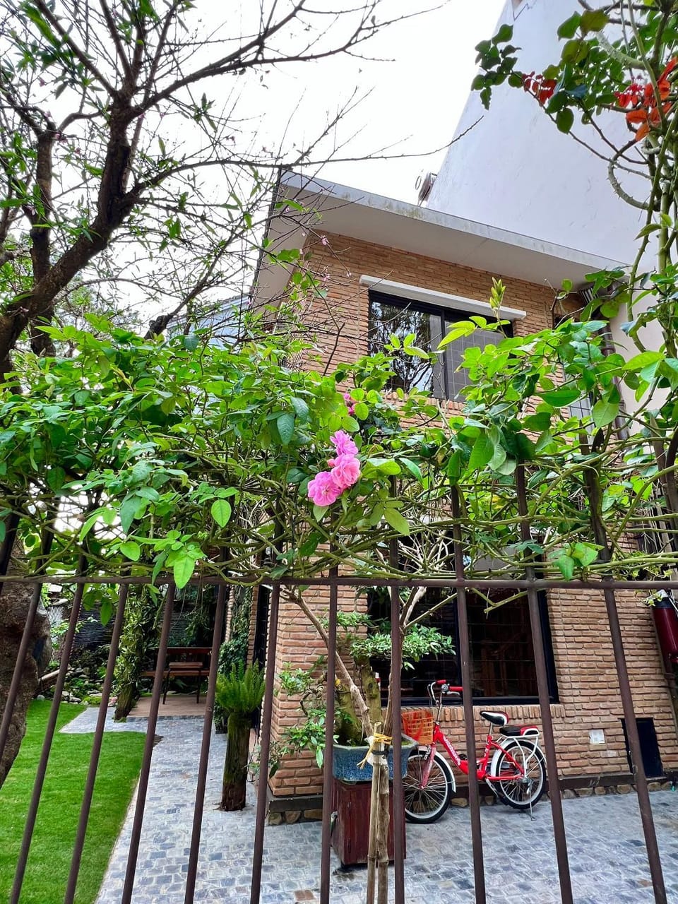 Property building, Patio, Garden, Garden view