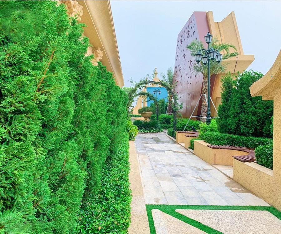 Garden