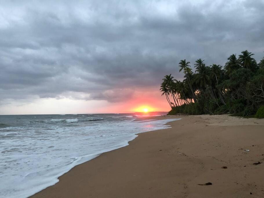 THE SANCTUARY- Tangalle Villa in Southern Province
