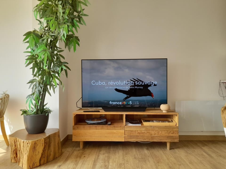 TV and multimedia
