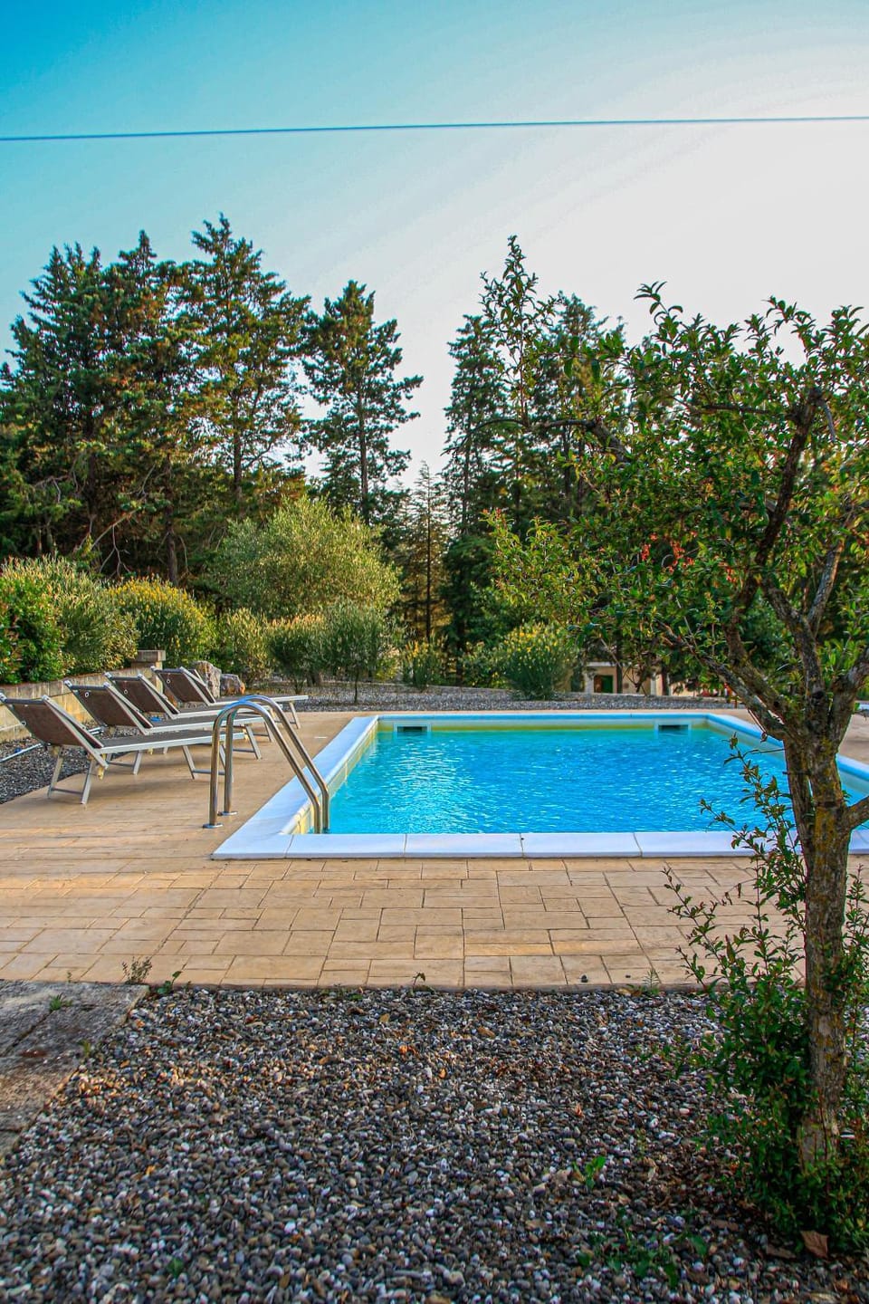 Day, Garden, Garden view, Pool view, Swimming pool, sunbed