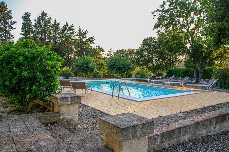 Day, Natural landscape, Garden, Garden view, Pool view, Swimming pool, sunbed