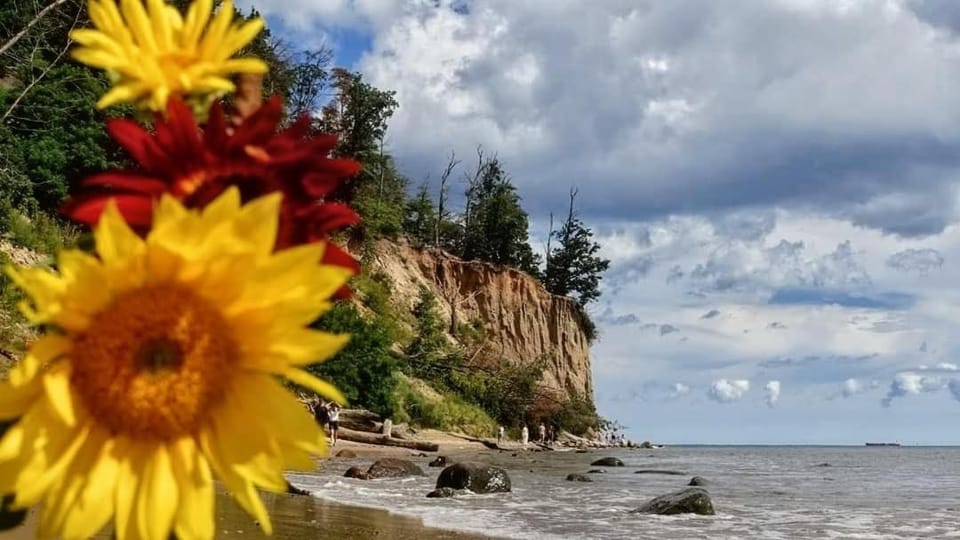 Seasunflowers Apartment in Pomeranian Voivodeship