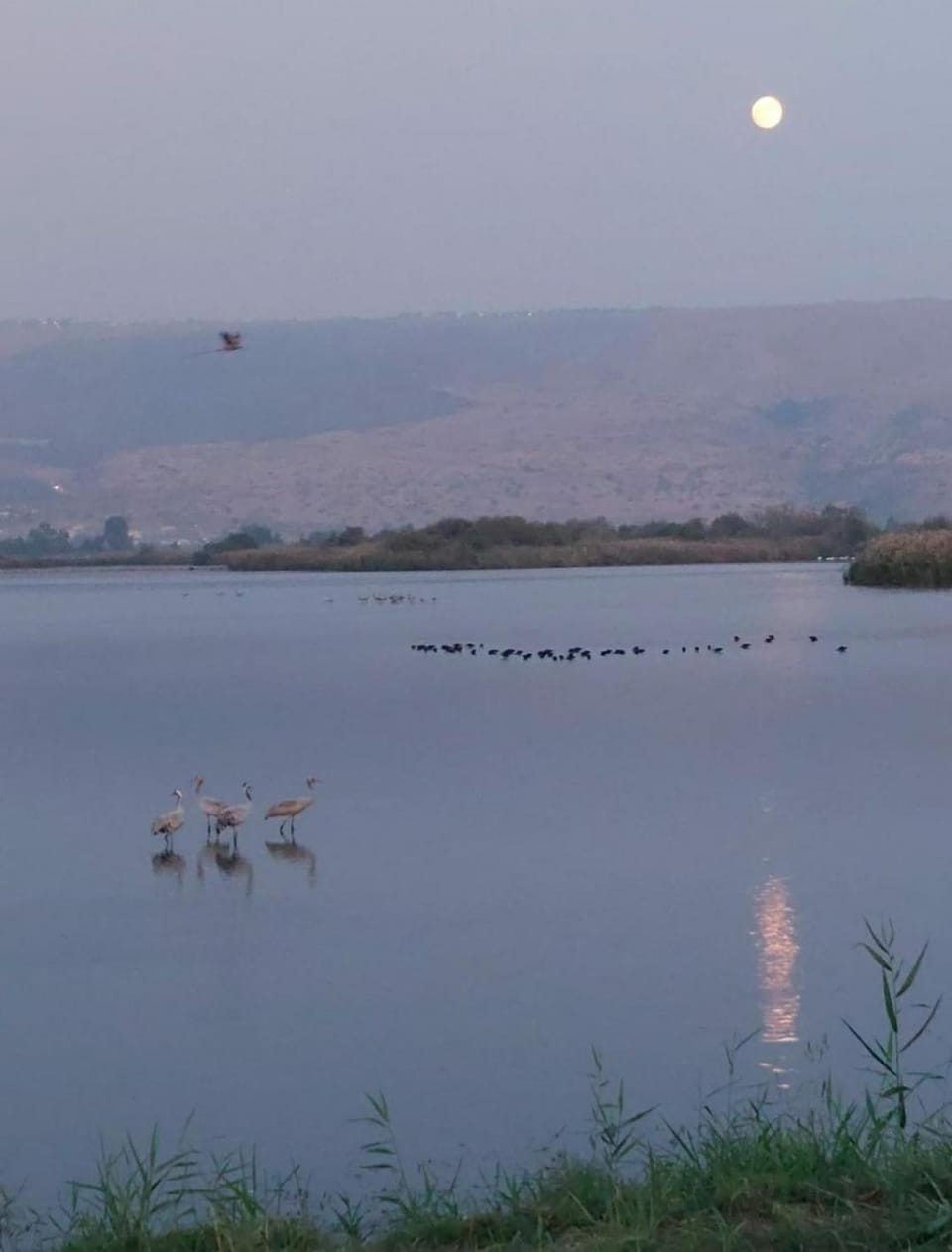 Natural landscape