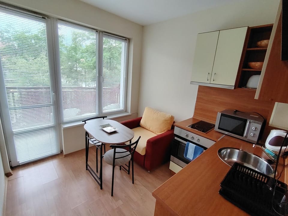 Studio apartment with mountain view at Eagle Rock complex Apartment in Bulgaria