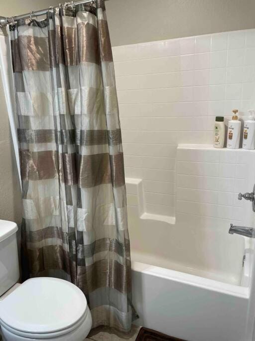 Shower, Toilet, Bathroom, Guests, Bath