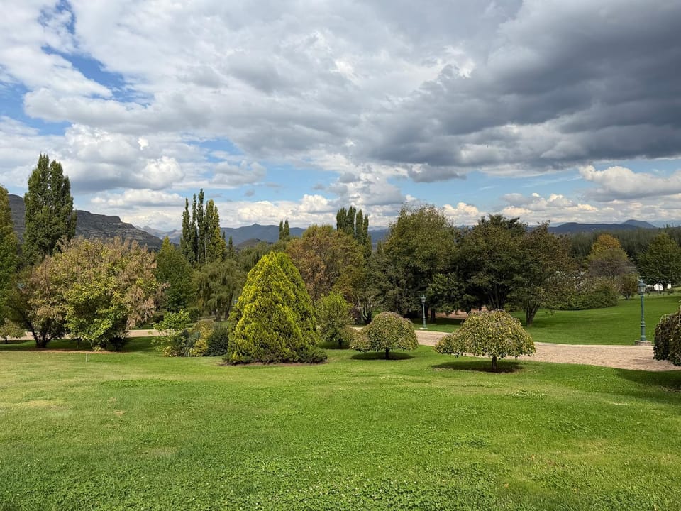 Garden view