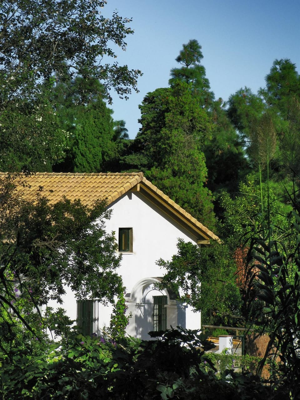 Garden view