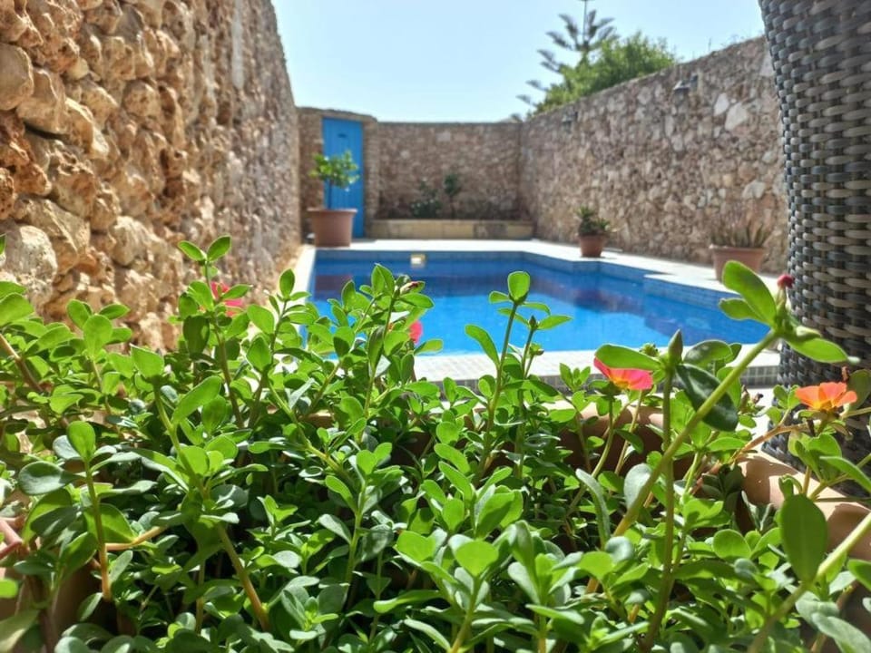 Garden, Garden, Swimming pool